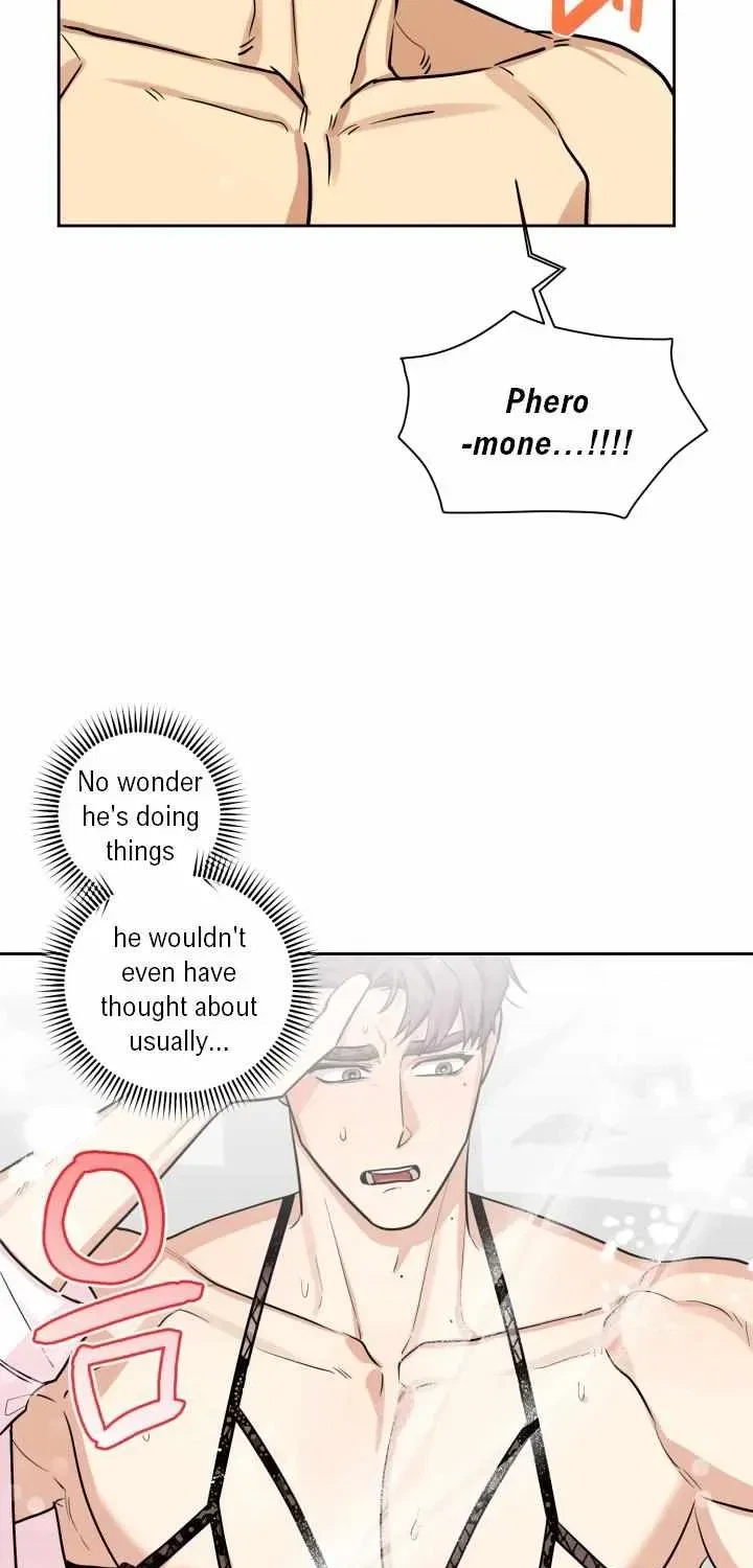 Chapter 3.1, page 53
