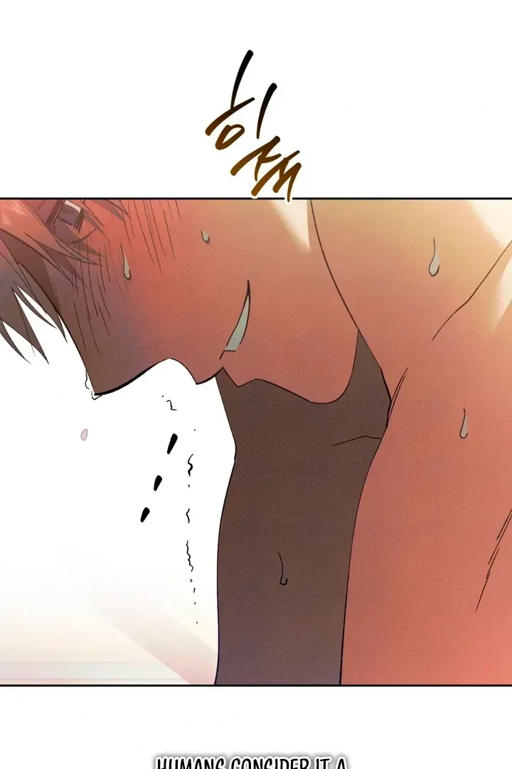 Chapter 1.1, page 133