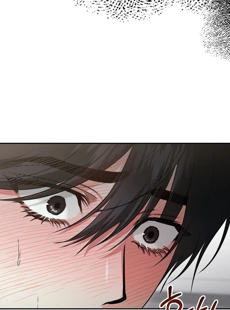 Chapter 10, page 102