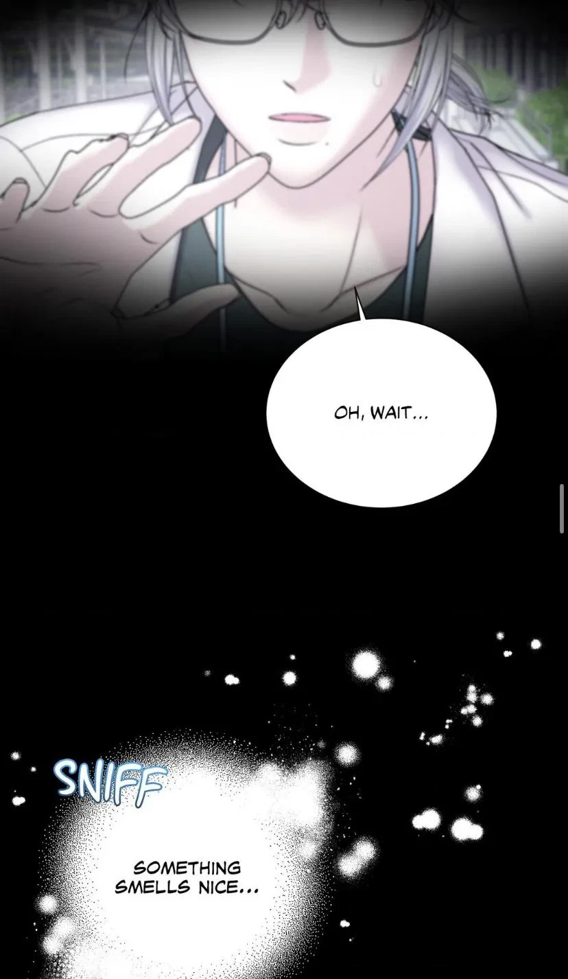 Side.8, page 31