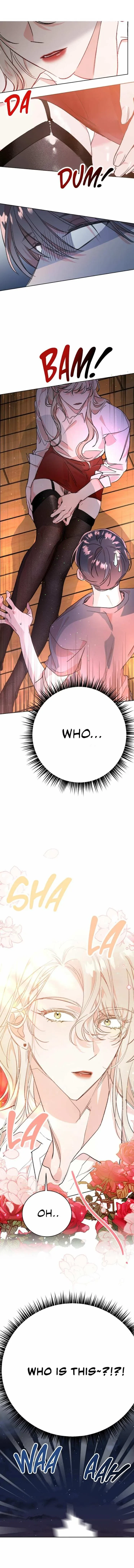 Chapter 0.4, page 5
