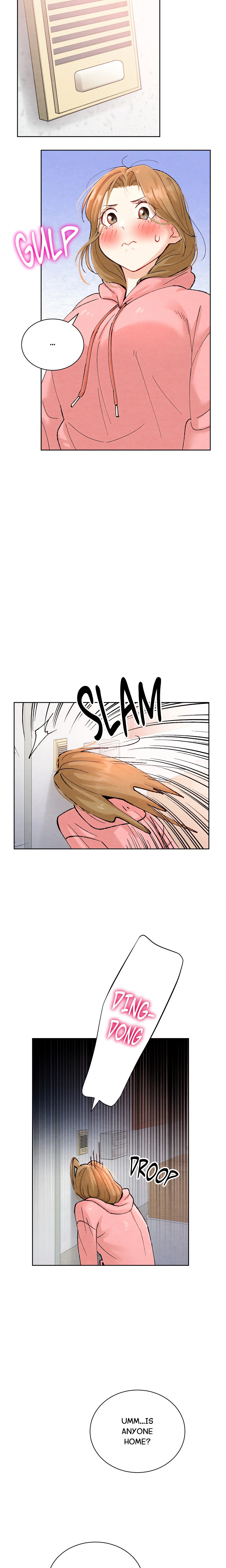 Chapter 1, page 17