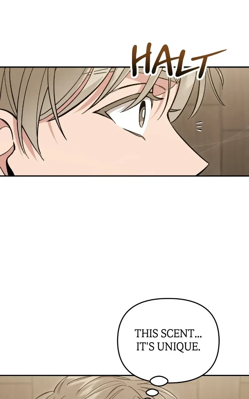 Chapter 2, page 57