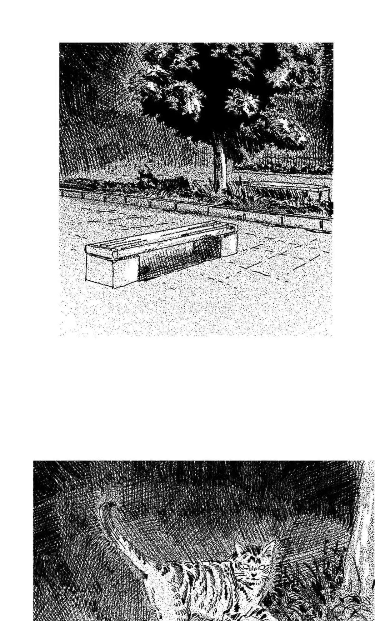 Chapter 7, page 34