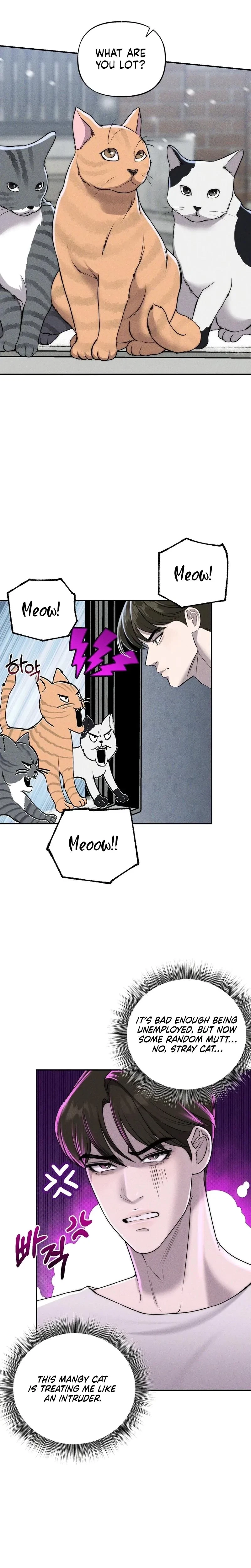 Chapter 19, page 8