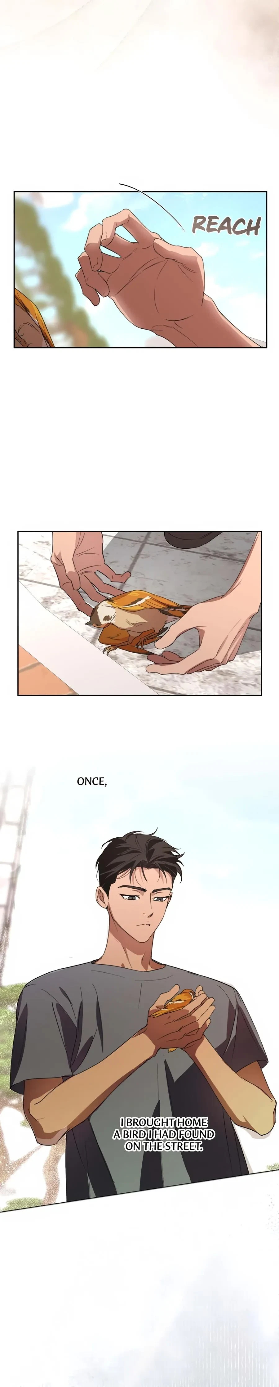 Chapter 55, page 14