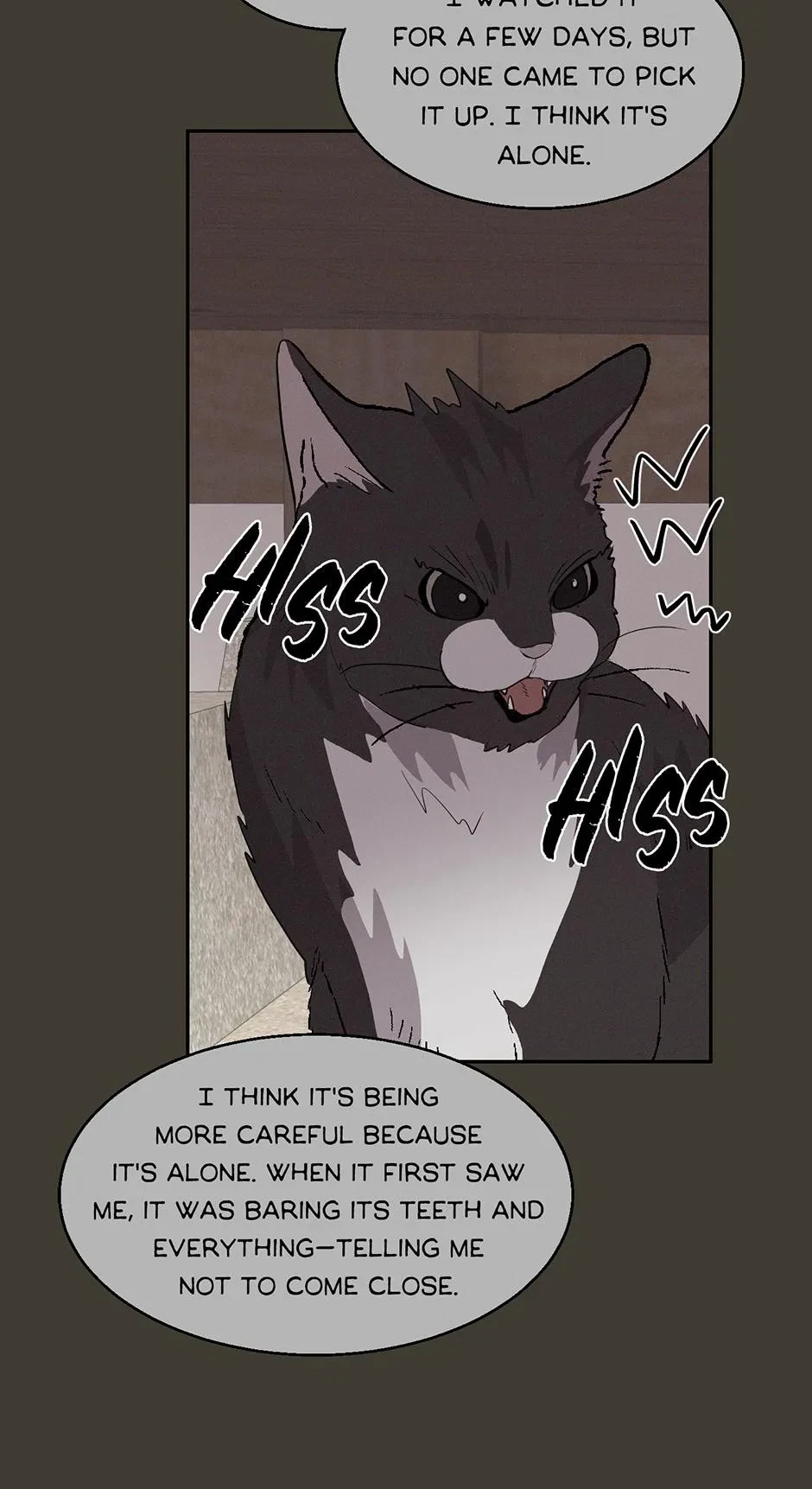 Chapter 14, page 19