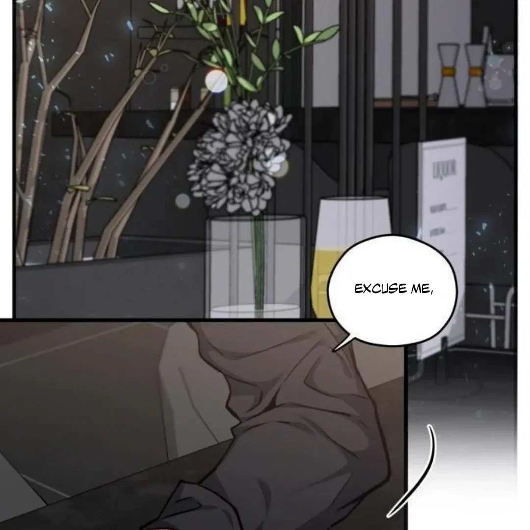 Chapter 6, page 95