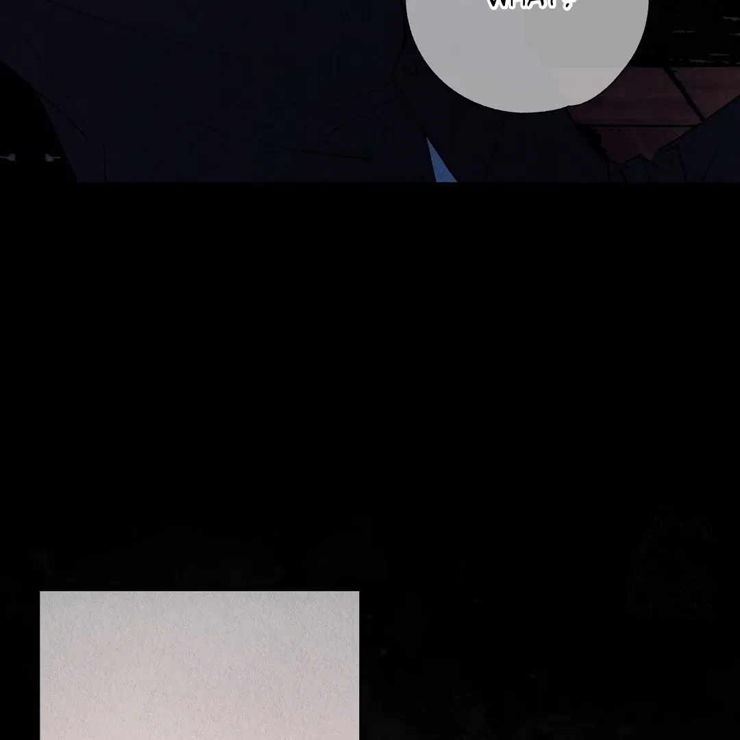Chapter 2, page 19
