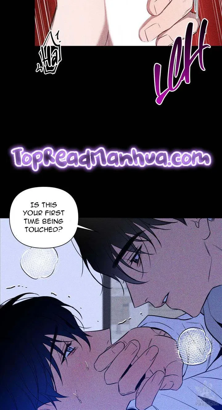 Dawn After Darkness Chapter 7, page 6