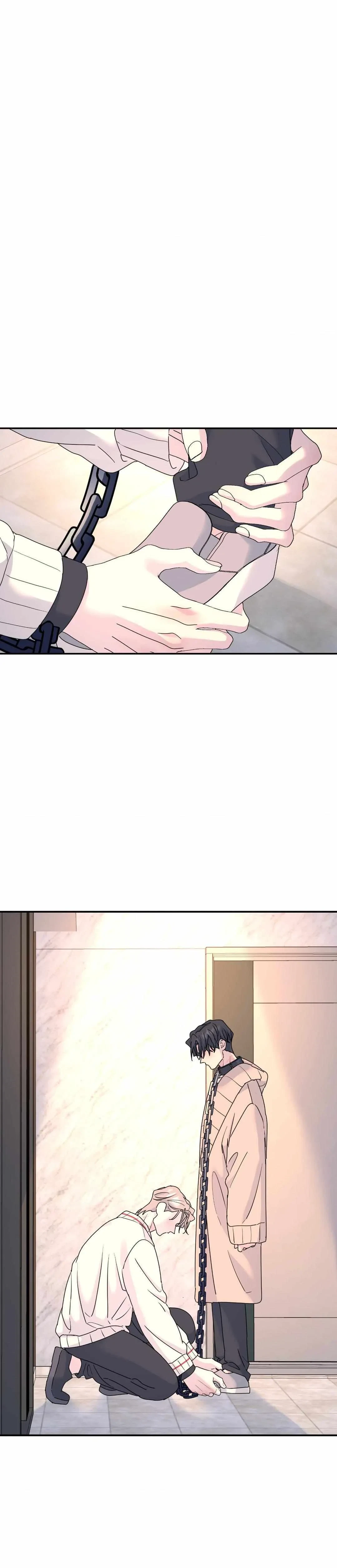 Chapter 66, page 23