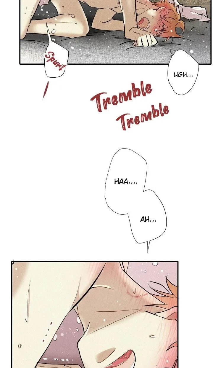 Chapter 86, page 19