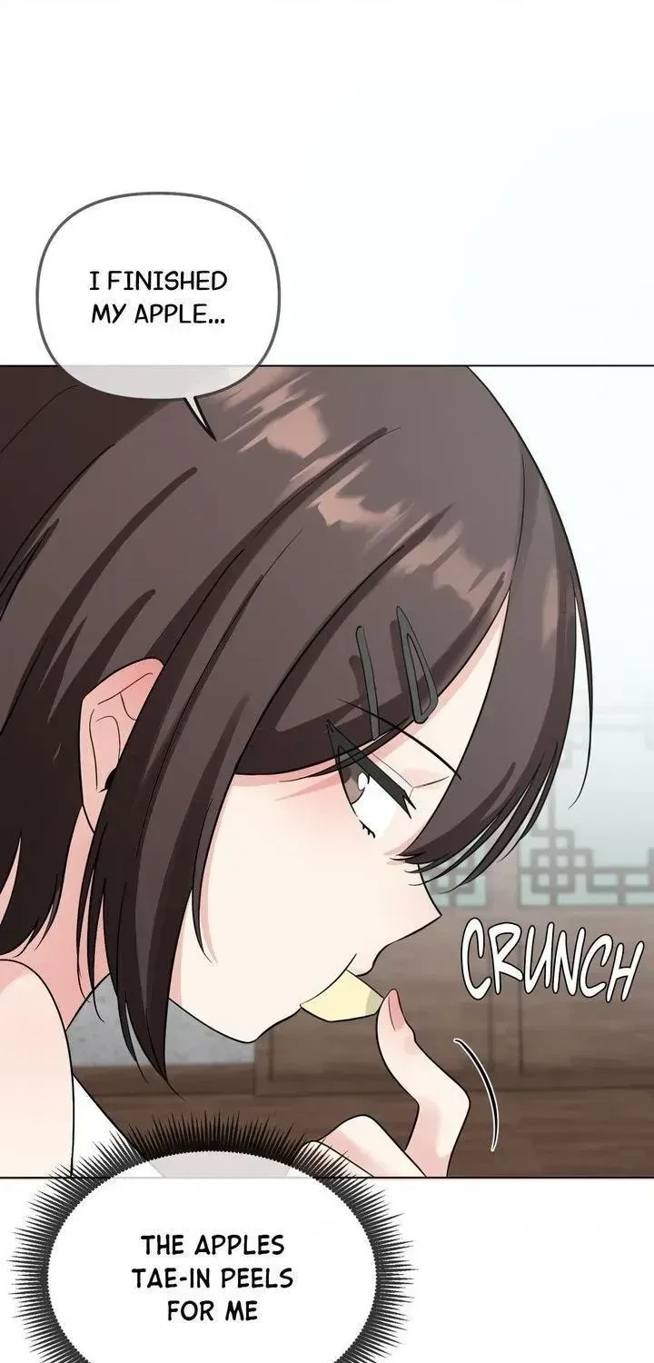 Chapter 3.1, page 103