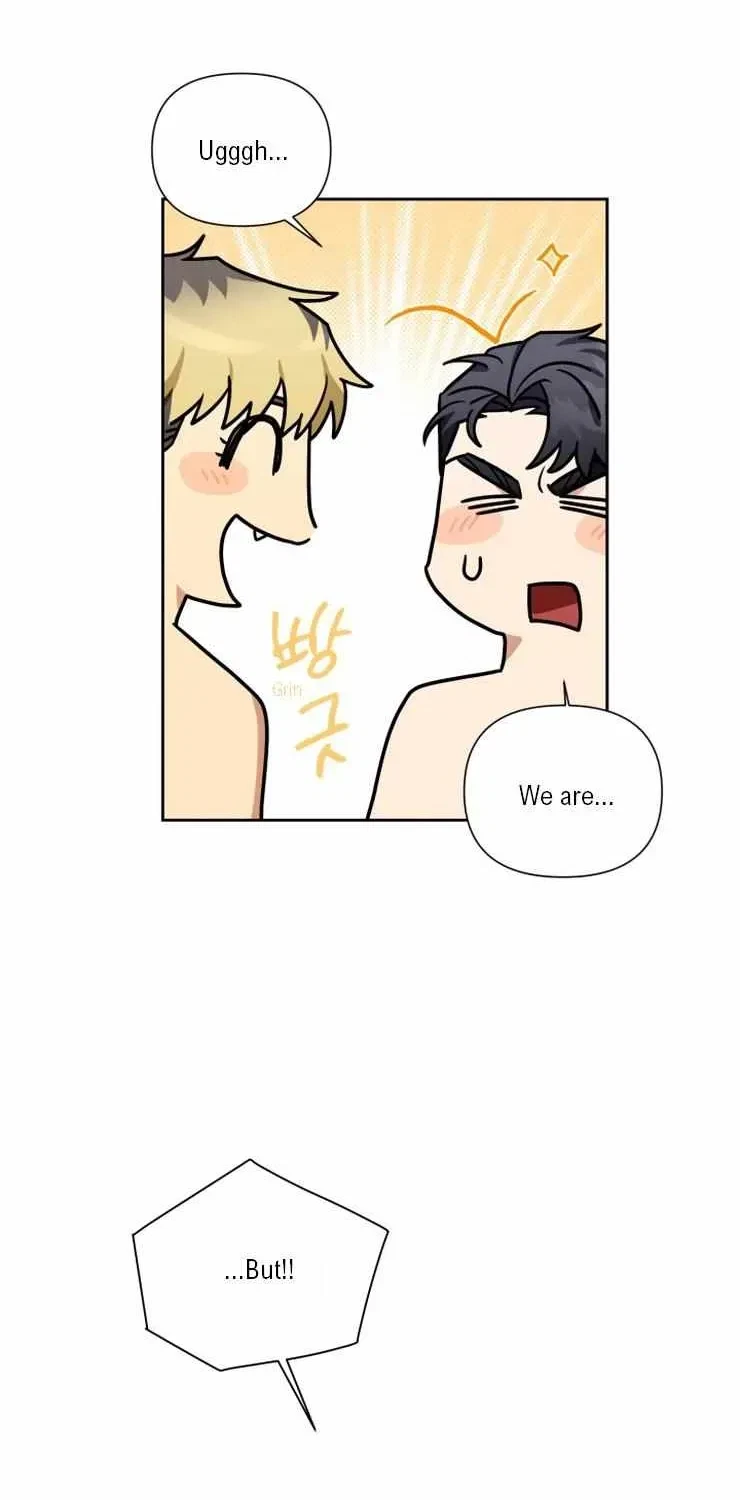 Chapter 4.1, page 13