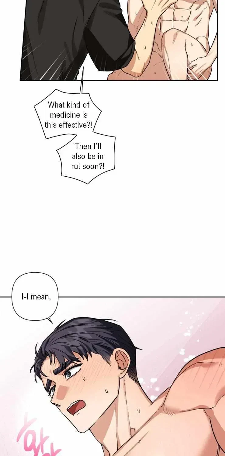 Chapter 4.1, page 33
