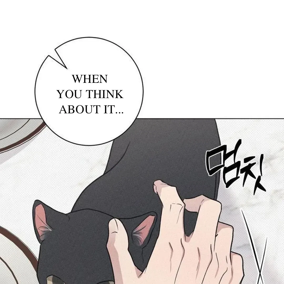 Chapter 14, page 106