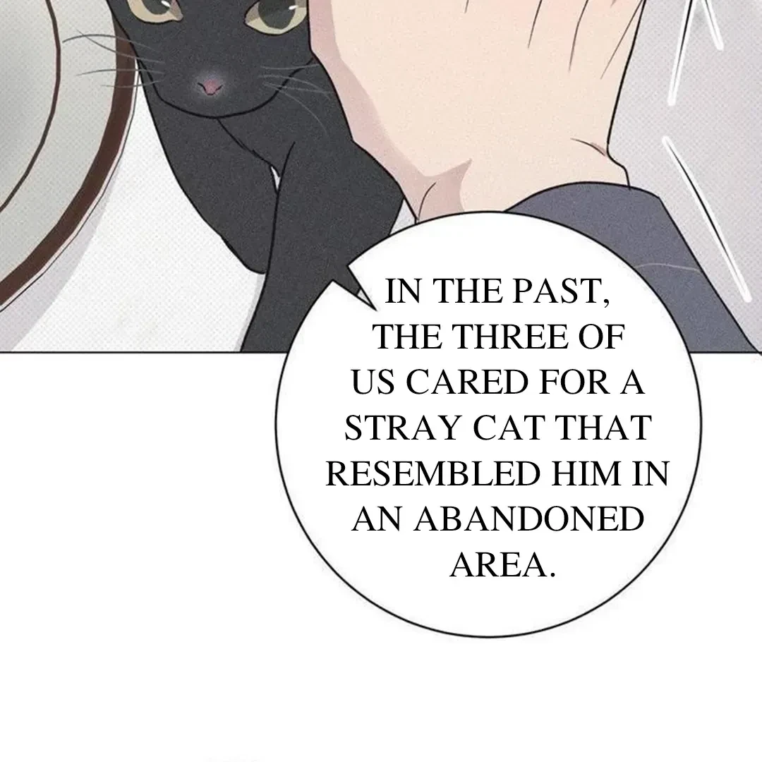 Chapter 14, page 107