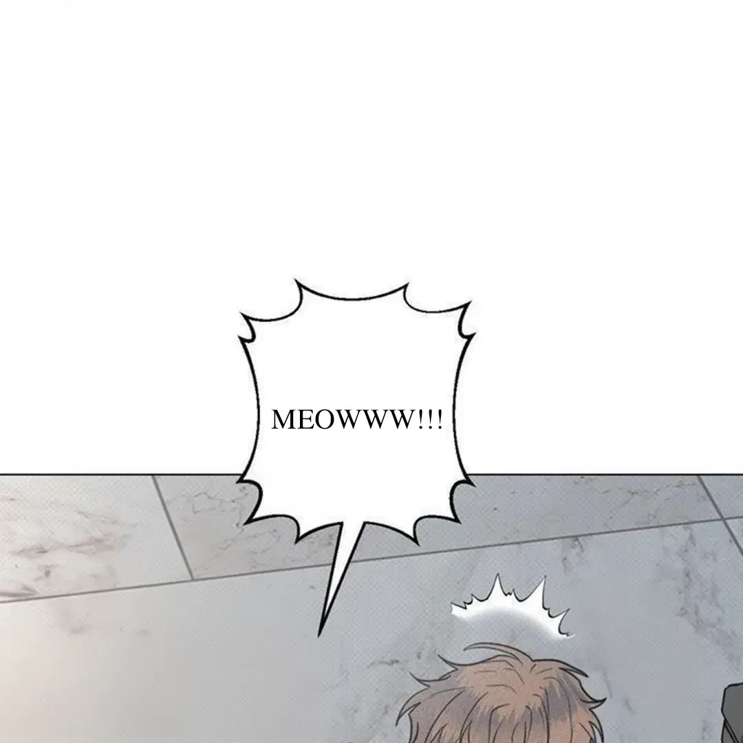 Chapter 14, page 61