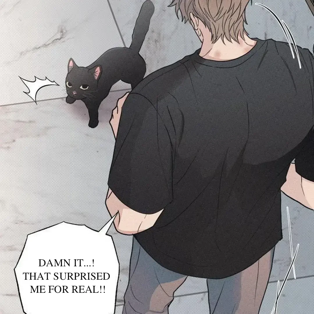 Chapter 14, page 62