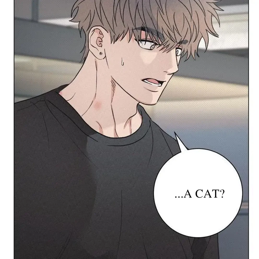 Chapter 14, page 64