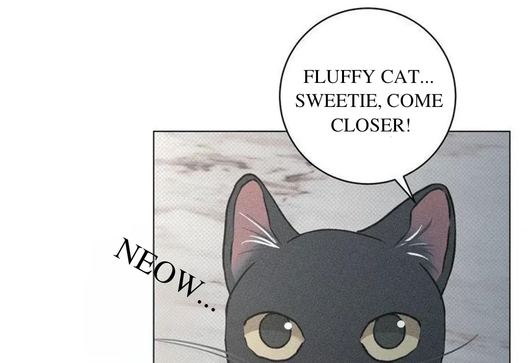Chapter 14, page 67