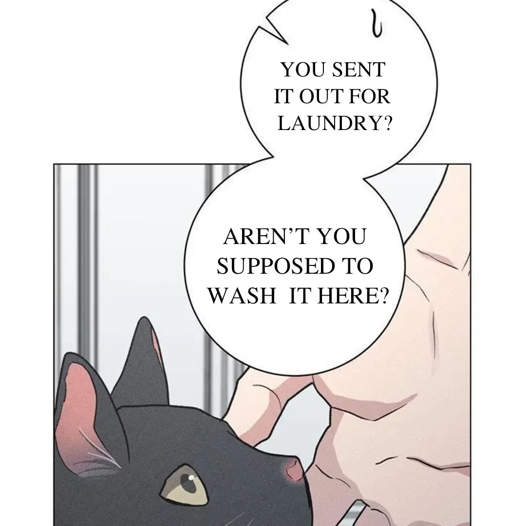 Chapter 14, page 83