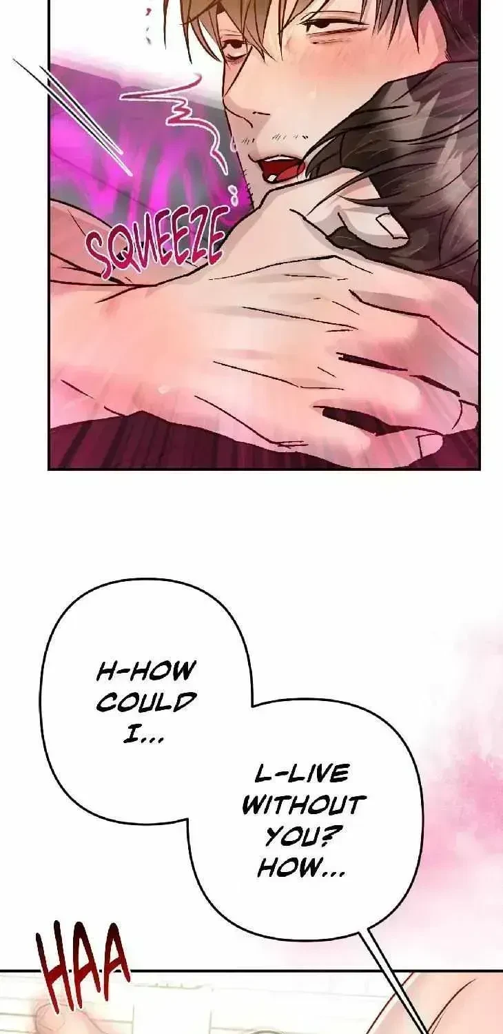 Chapter 2.8, page 70