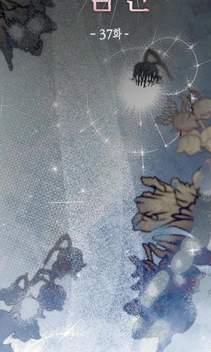 Chapter 37, page 84