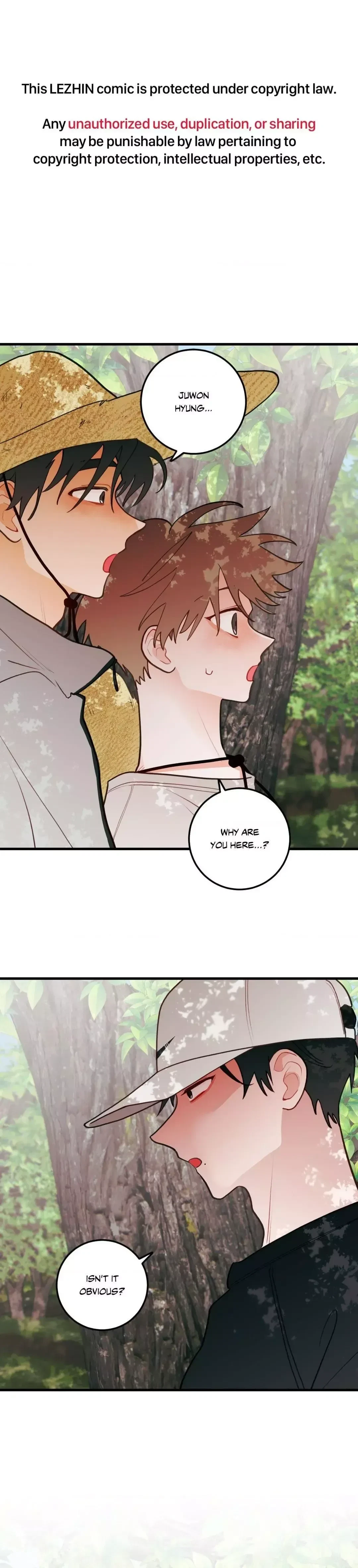 When Pear Blossoms Bloom Chapter 46, page 2
