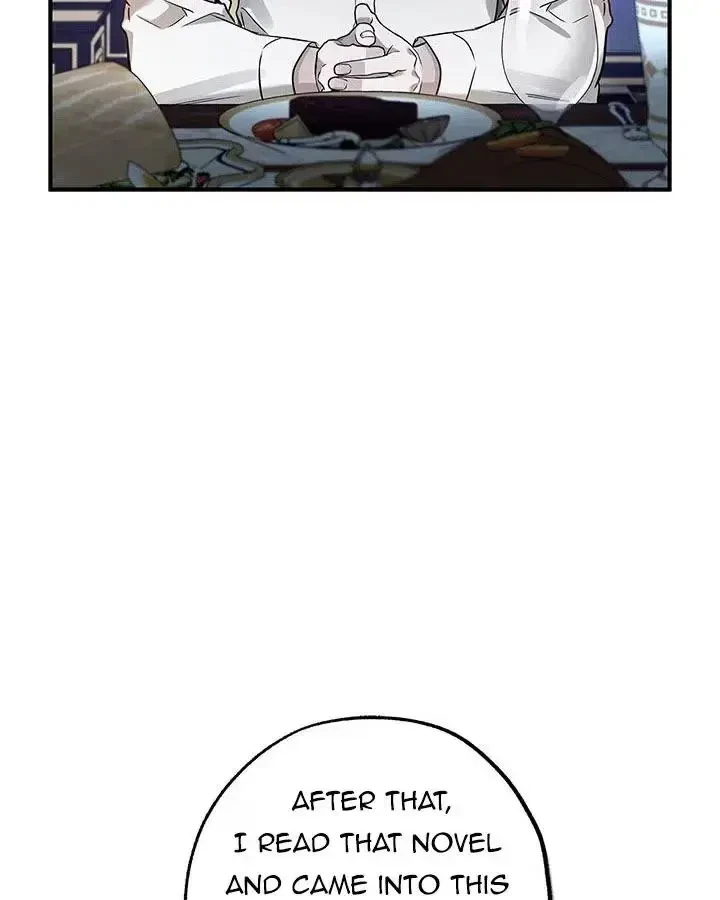 Chapter 3, page 17
