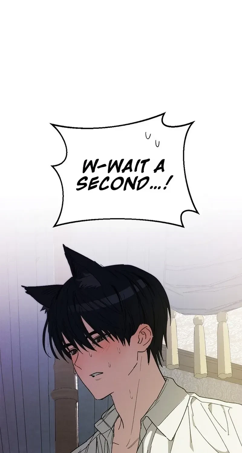 Chapter 3, page 61