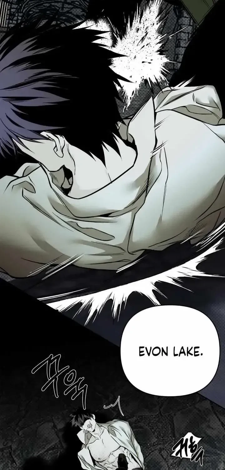 Chapter 1.1, page 17