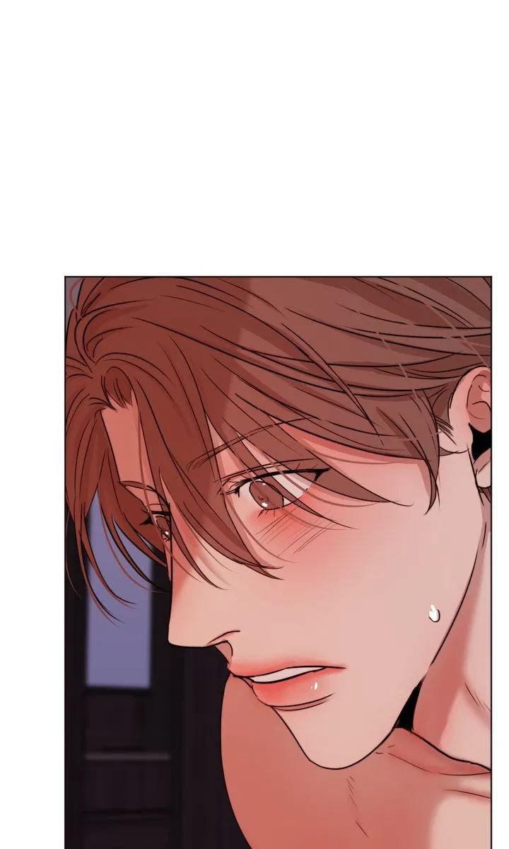 Chapter 67, page 66