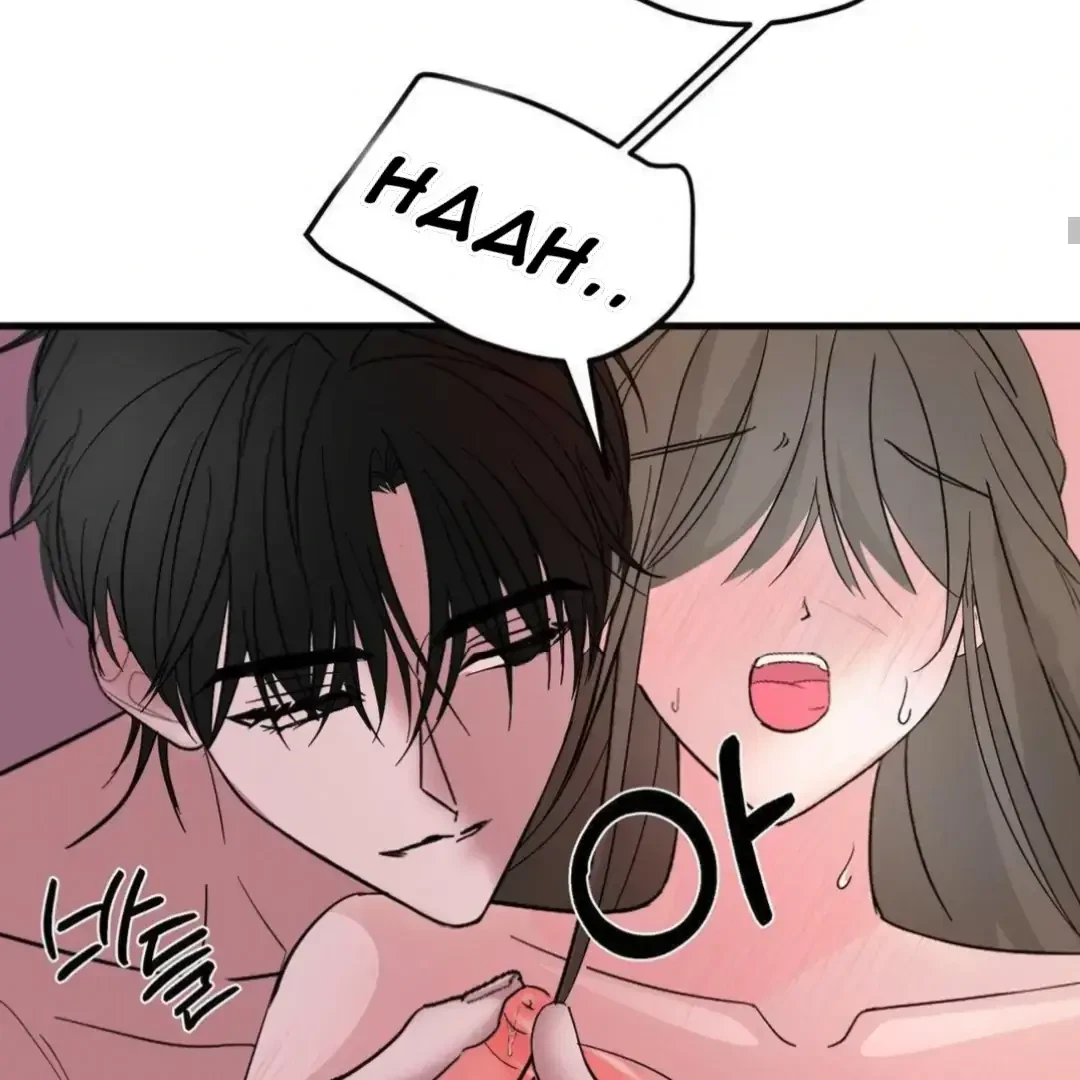 Chapter 6, page 101