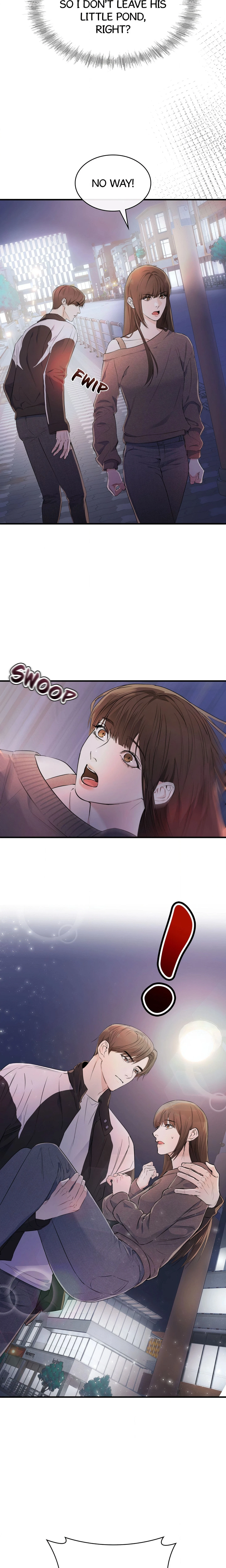 Chapter 4, page 6