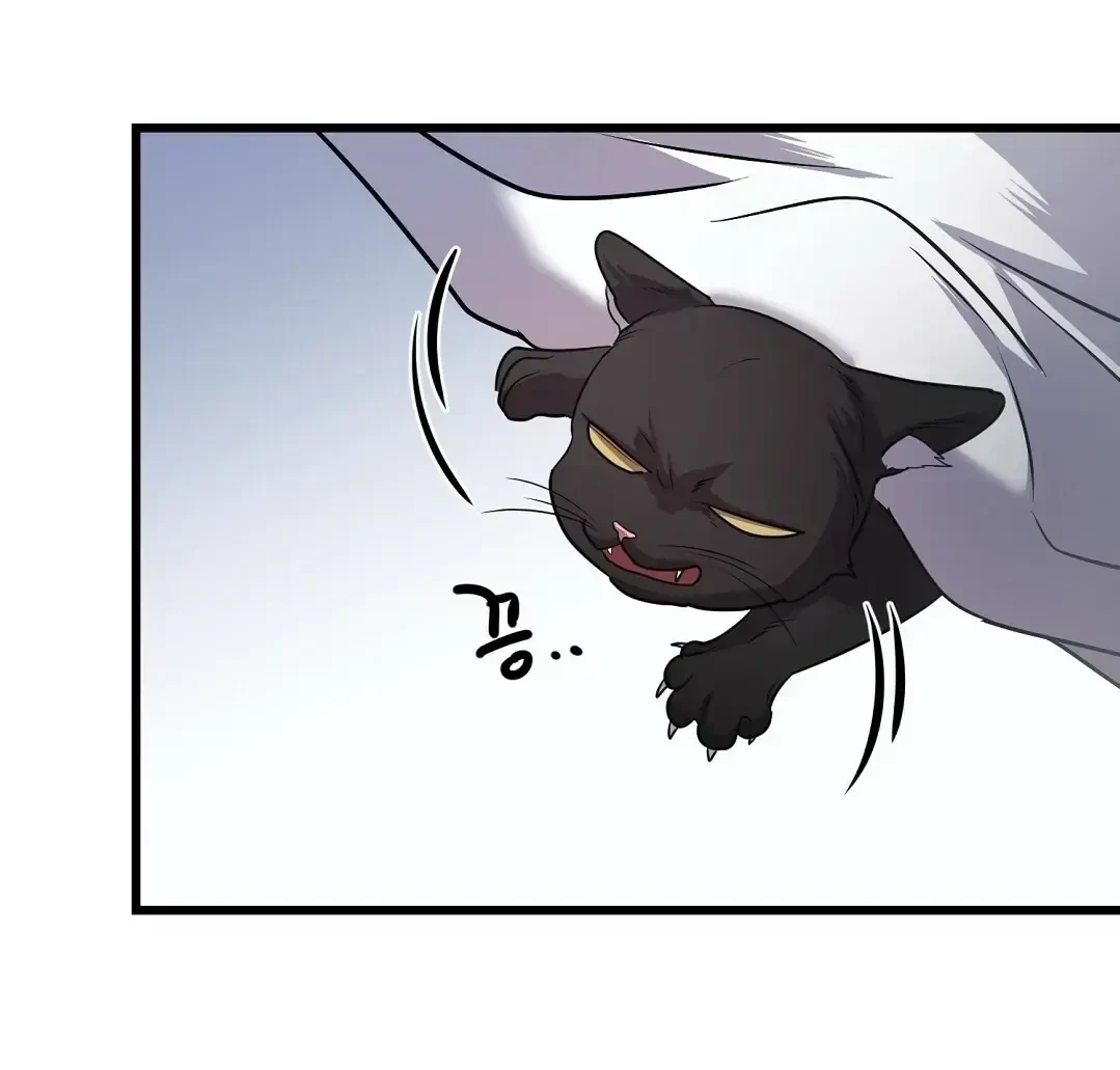 Chapter 13, page 41