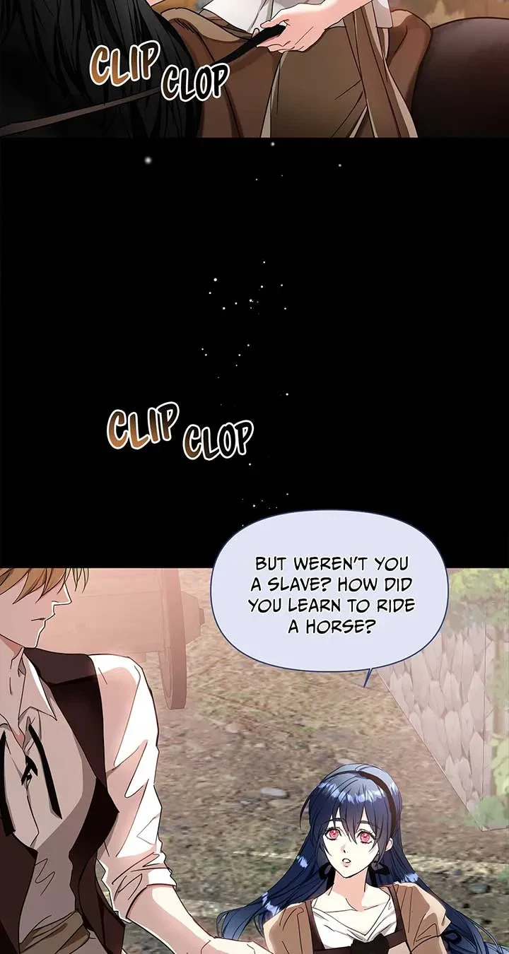 Chapter 5, page 41