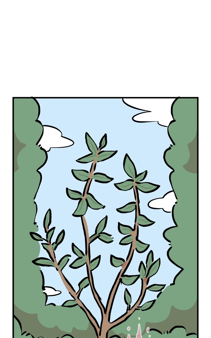 Chapter 43, page 12