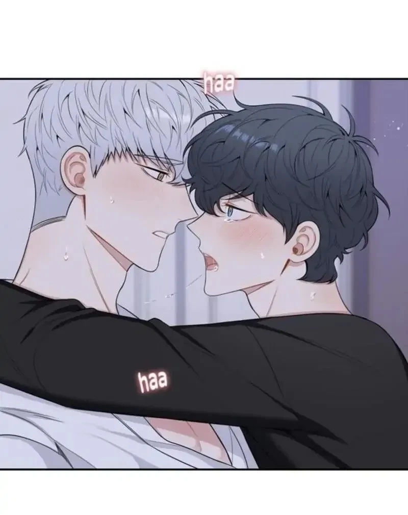 Chapter 175.08, page 41