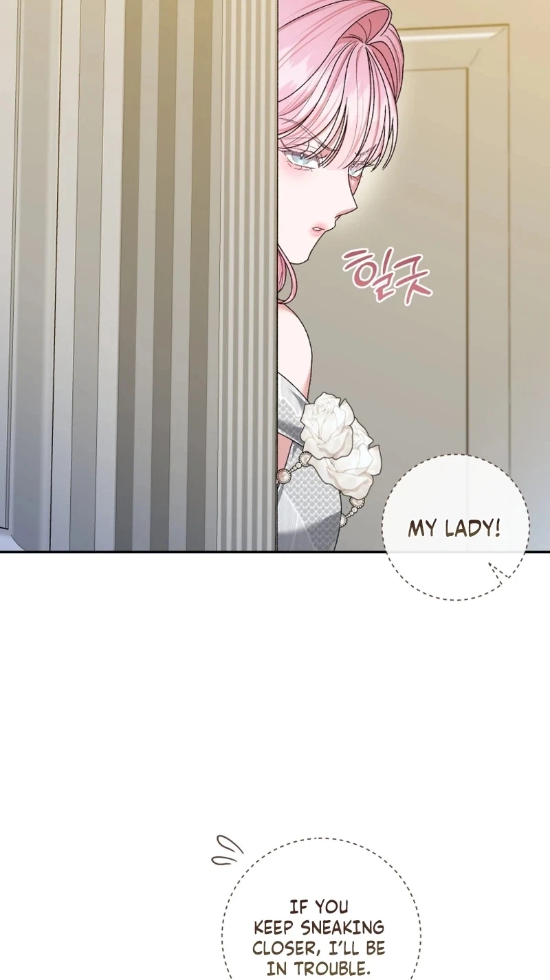Chapter 41, page 62