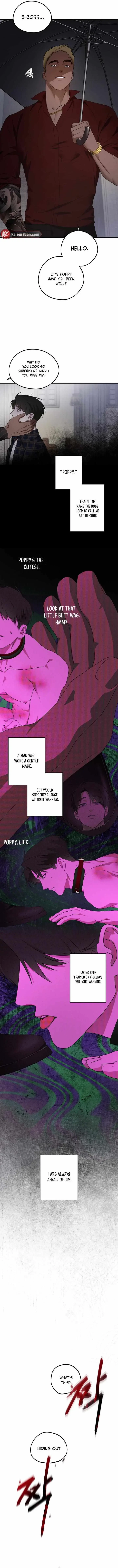 Chapter 6, page 9