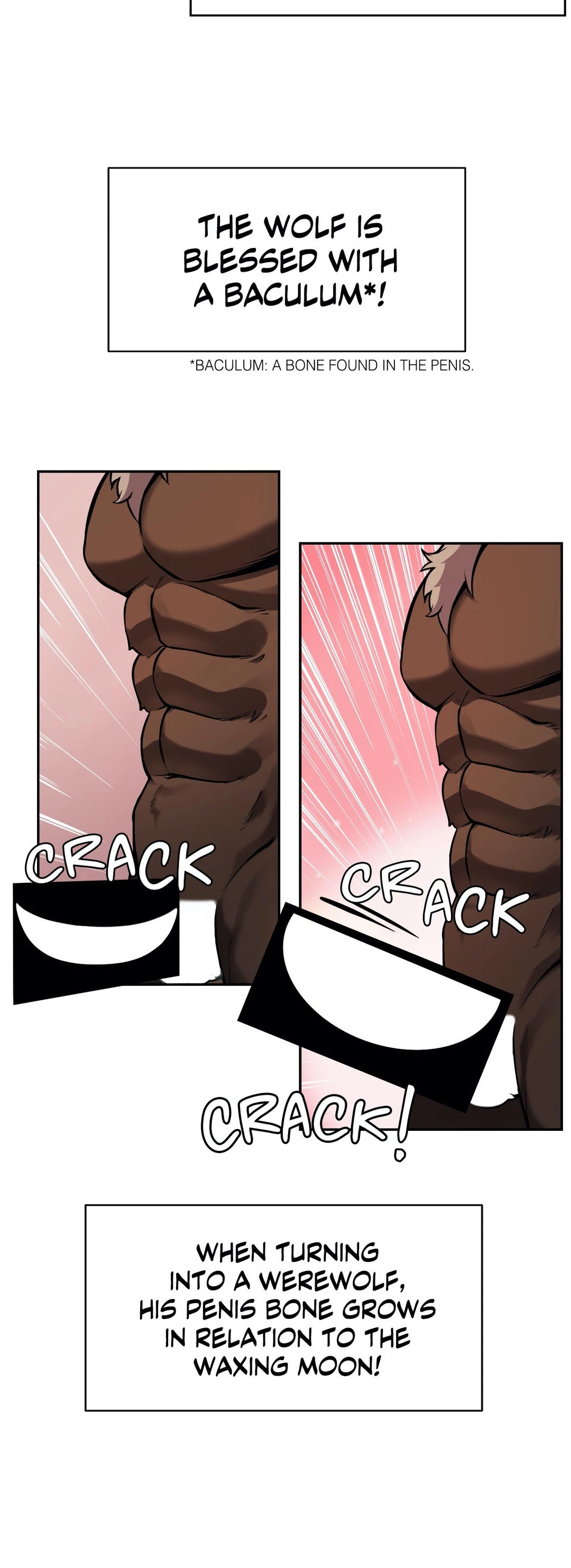 Chapter 3, page 23