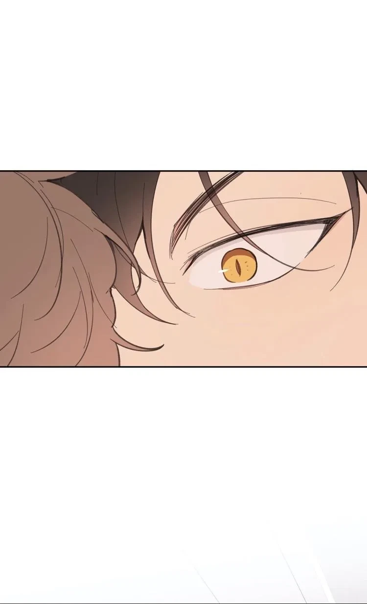 Chapter 13, page 67