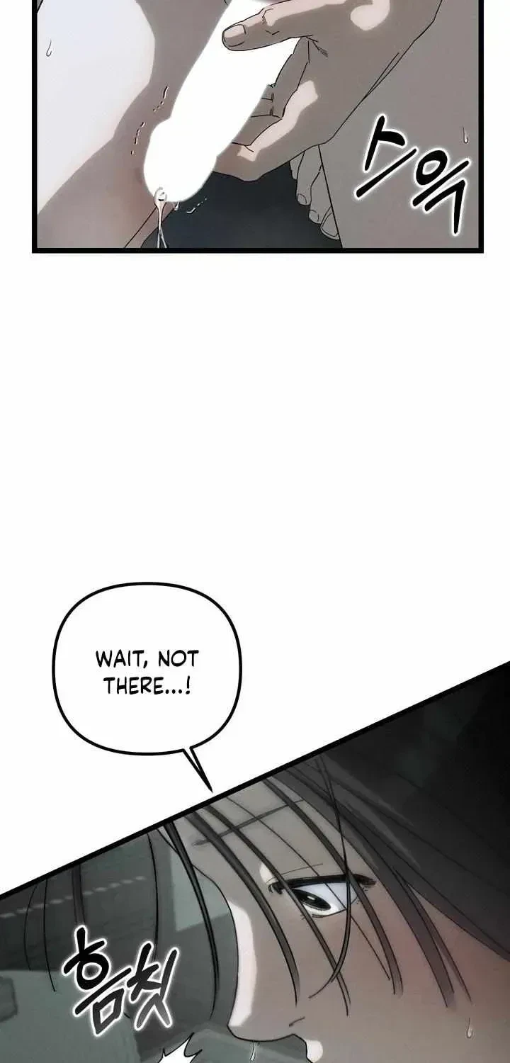 Chapter 8.1, page 11
