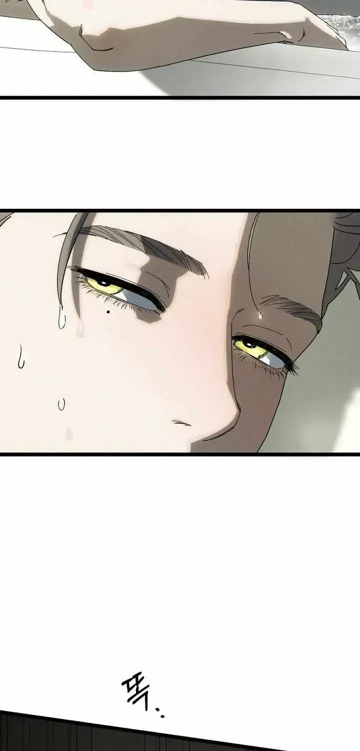 Chapter 8.1, page 62