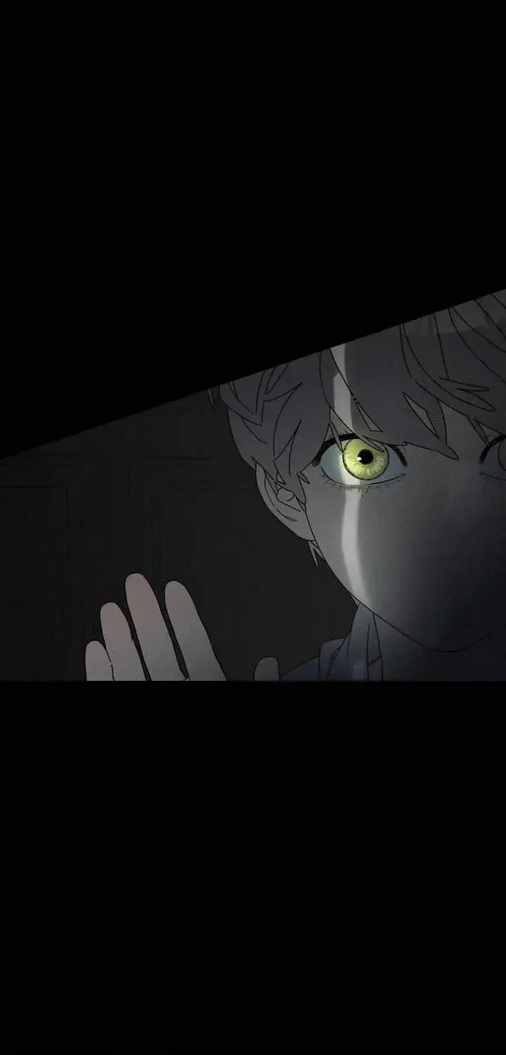 Chapter 8.1, page 66