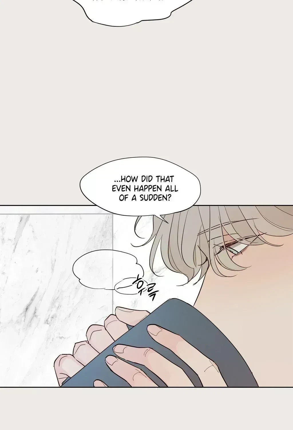 Chapter 4.3, page 21