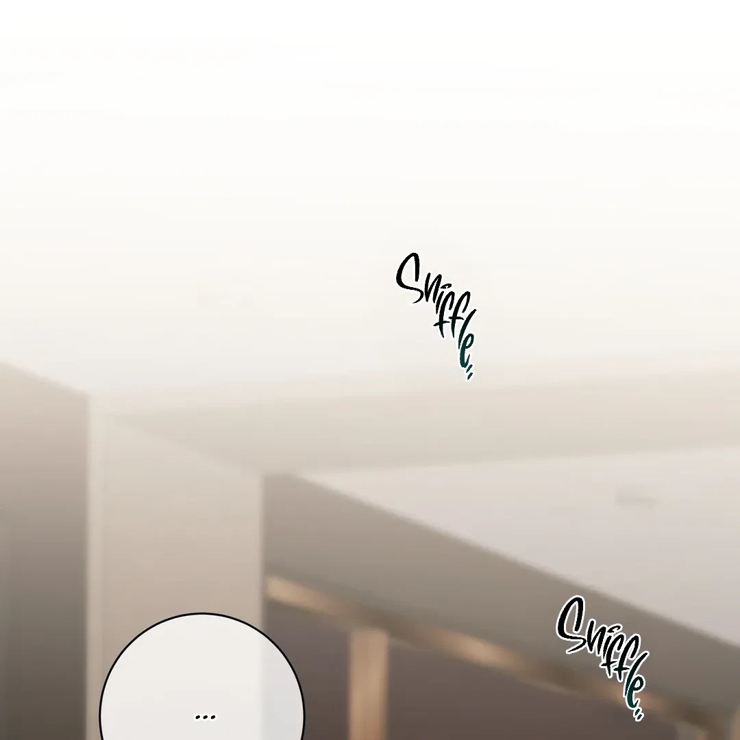 Chapter 6, page 94