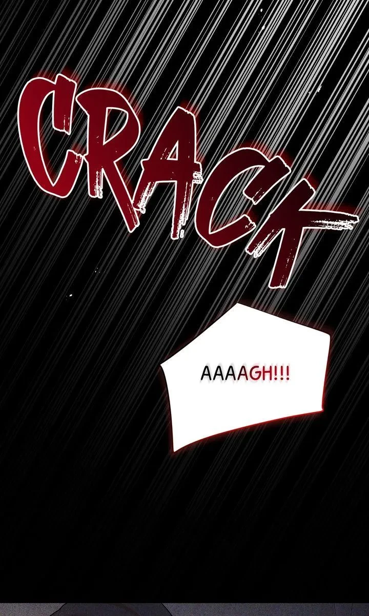 Chapter 3, page 67