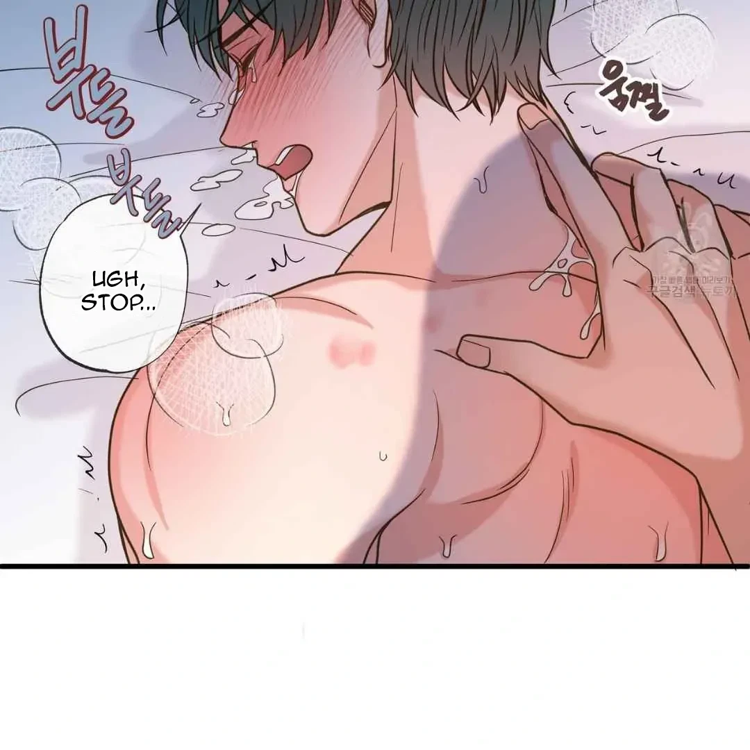 Chapter 3, page 97